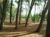 Camp2012_PrepAtletica_028.jpg