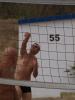 Camp2012_Spiaggia_009.JPG