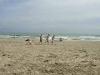 Camp2012_Spiaggia_074.JPG